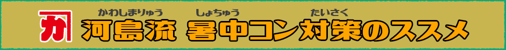 河島流暑中コン対策のススメ